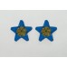Петлицы командный состава, ВВС, Генерал-майор, обр. 1940 г.